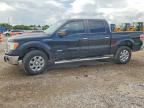 2013 FORD F150