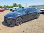 2021 LEXUS IS