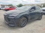 2026 LEXUS NX 450H+