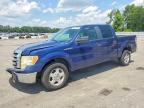 2009 FORD F 150