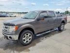 2014 FORD F150