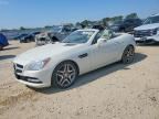 2013 MERCEDES-BENZ SLK
