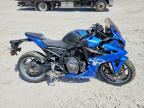 2025 SUZUKI GSX800