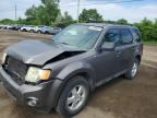 2010 FORD ESCAPE