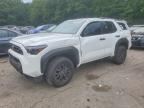 2026 TOYOTA 4RUNNER