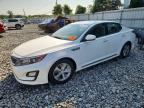2014 KIA OPTIMA