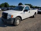 2013 FORD F150