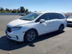 2022 HONDA ODYSSEY