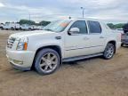 2007 CADILLAC ESCALADE