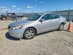 2009 HONDA ACCORD