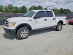 2013 FORD F150