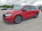 2024 HONDA ODYSSEY