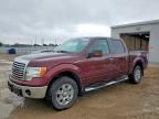 2010 FORD F150
