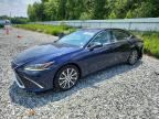 2019 LEXUS ES