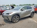 2020 LEXUS NX