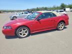 2003 FORD MUSTANG