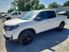 2023 HONDA RIDGELINE