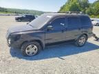 2003 HONDA PILOT