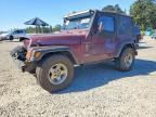 2001 JEEP WRANGLER / TJ