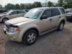 2011 FORD ESCAPE