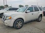 2010 FORD ESCAPE