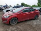 2014 HYUNDAI ELANTRA
