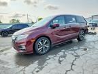 2019 HONDA ODYSSEY
