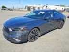 2026 HONDA ACCORD