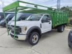 2019 FORD F450