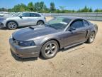 2004 FORD MUSTANG