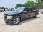 2010 FORD F150