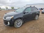 2014 KIA SORENTO