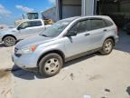 2010 HONDA CR-V