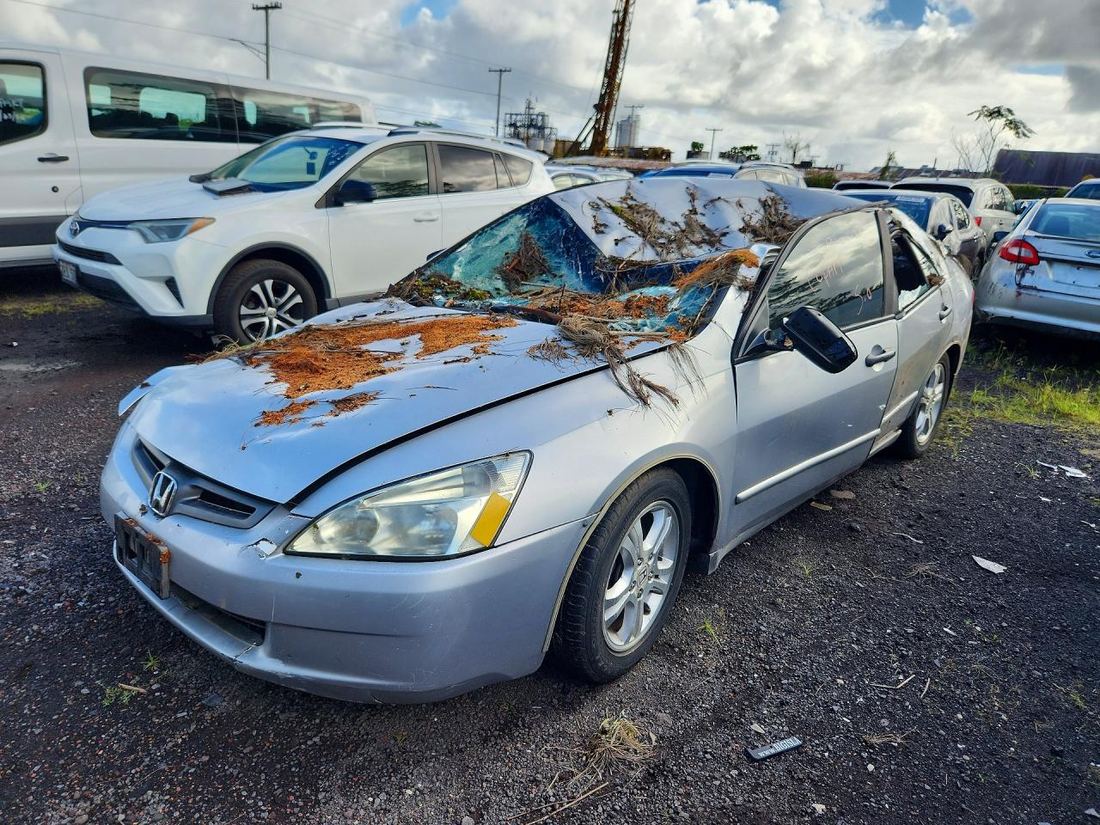 2005 HONDA ACCORD