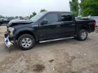 2015 FORD F150