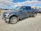 2017 FORD F150