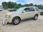 2010 FORD ESCAPE