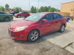2013 FORD FOCUS