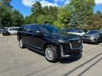 2023 CADILLAC ESCALADE