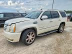 2009 CADILLAC ESCALADE
