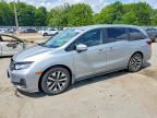 2025 HONDA ODYSSEY
