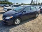 2011 TOYOTA COROLLA