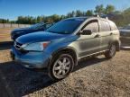 2010 HONDA CR-V