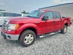 2009 FORD F150