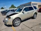 2010 FORD ESCAPE