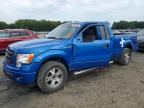 2010 FORD F150