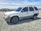 2007 FORD ESCAPE