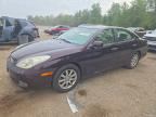 2003 LEXUS ES