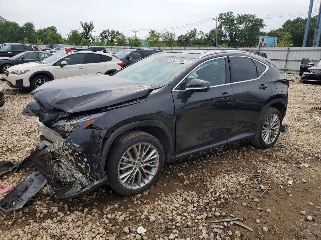 2025 LEXUS NX 350H