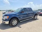 2014 FORD F150